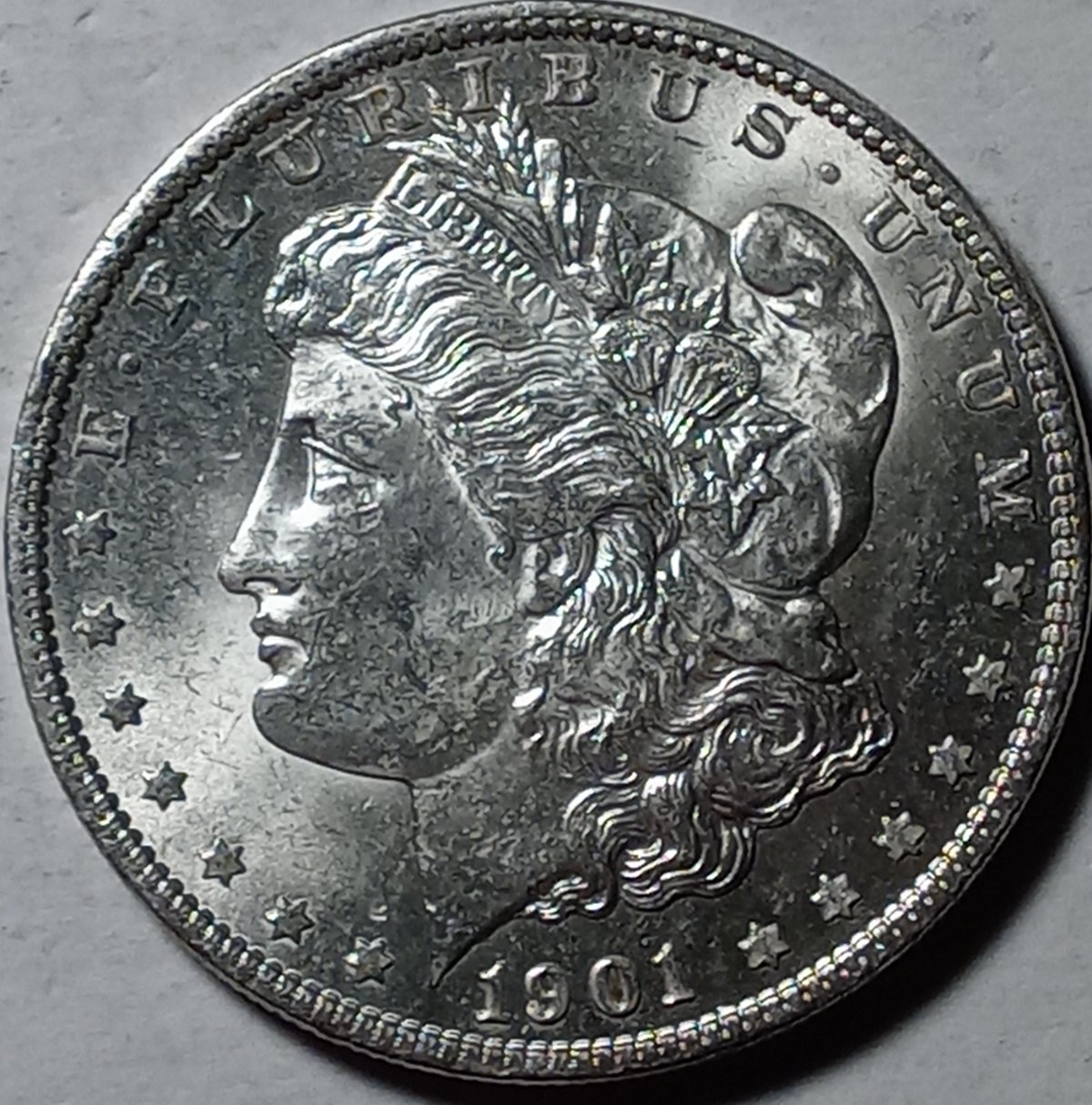 Continuing-List-To-Show-Everyones-Latest-Acquisitions