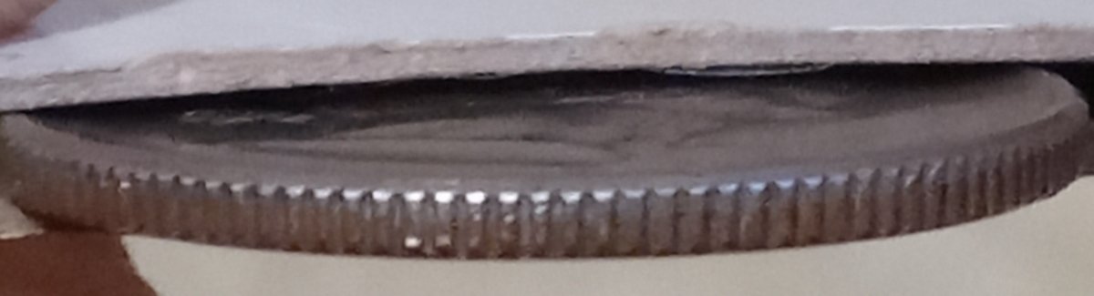 Major-Greaser-On-A-19x7-Quarter