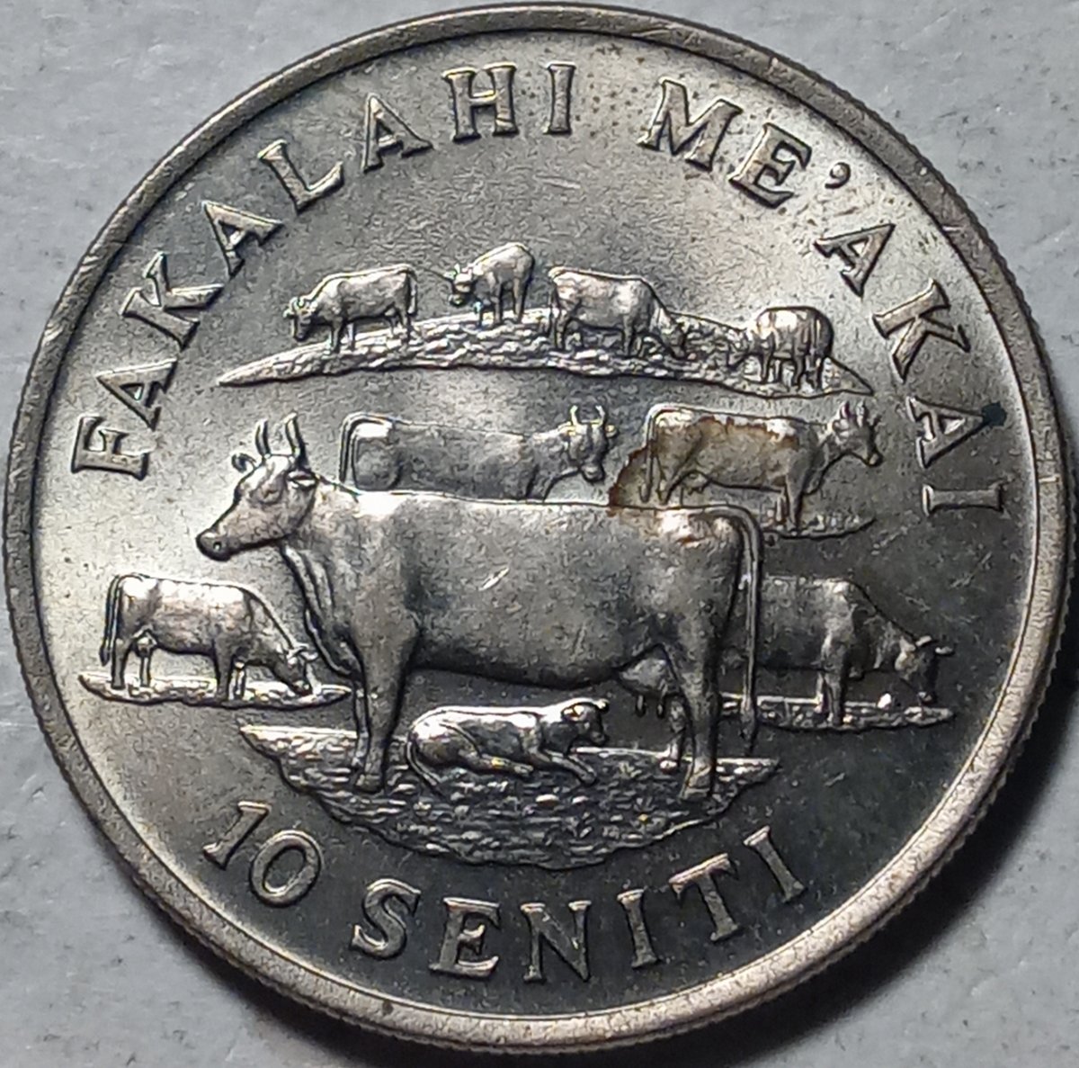 Around-The-World-With-Coins---A-Coin-Geography-Game