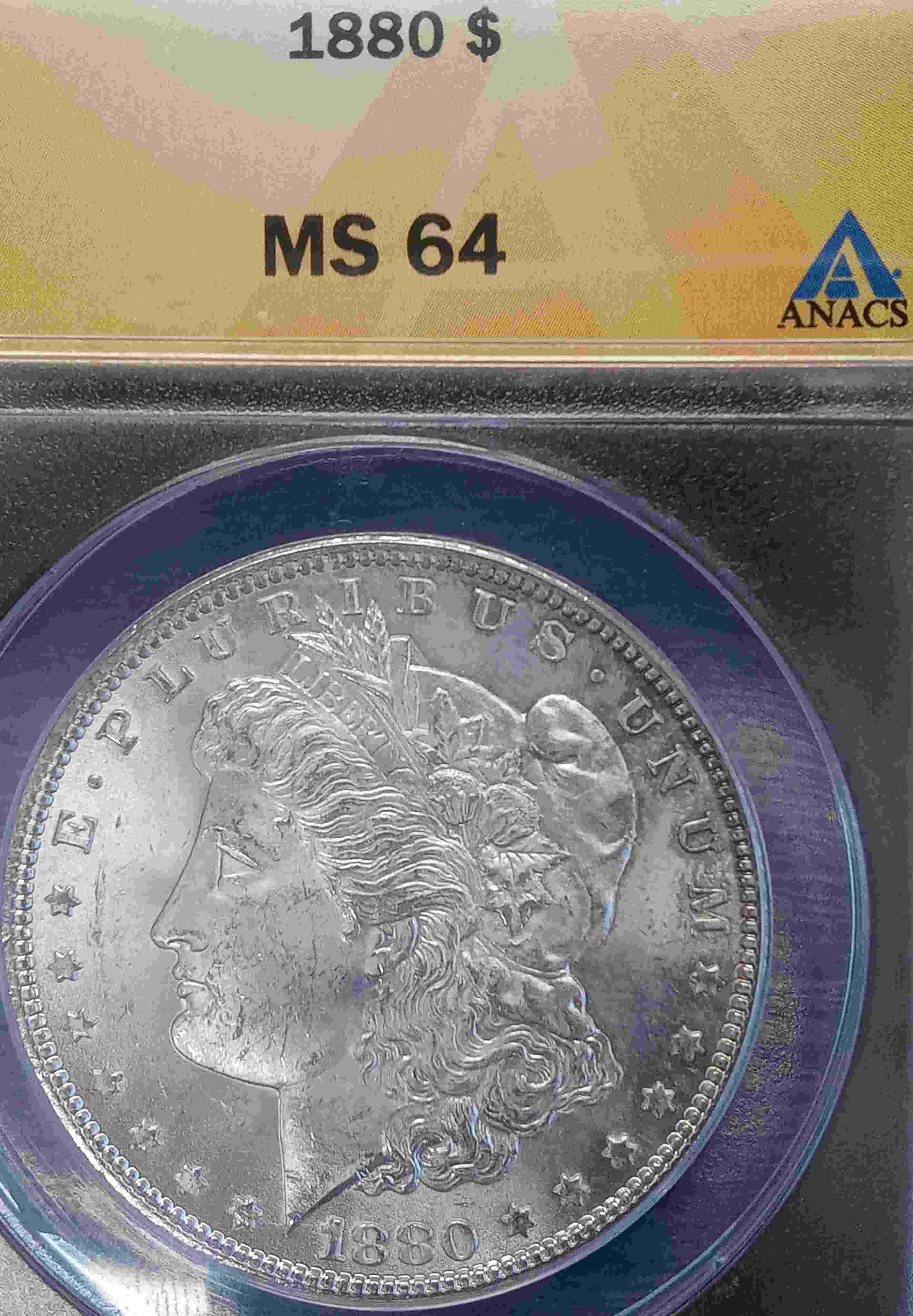 1880-Morgan-Dollar-VAM-11A-Hot-50-Variety-ANACS-MS-64