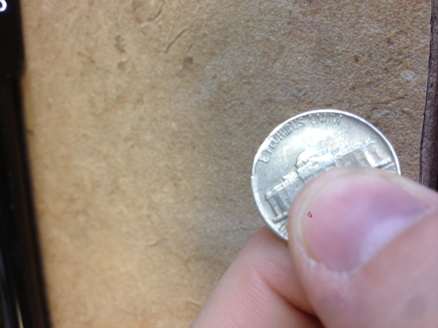 1979-Nickel-Error?