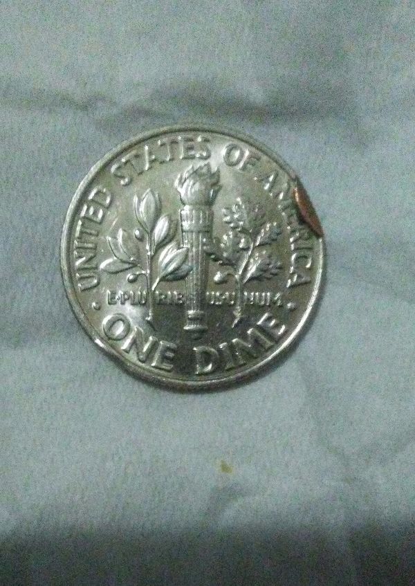 Are-These-2-Cuds-On-2010-Dime