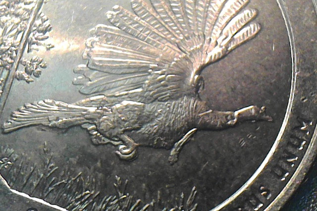 Questions-On-3-Washington-Quarters