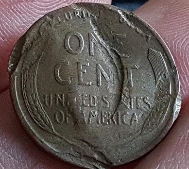 Die-Clashes---Wheat-Pennies