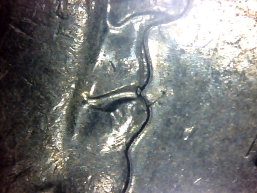 Found---NZ-$1-Coin-Obverse---Qeii-Crying?!-Error.