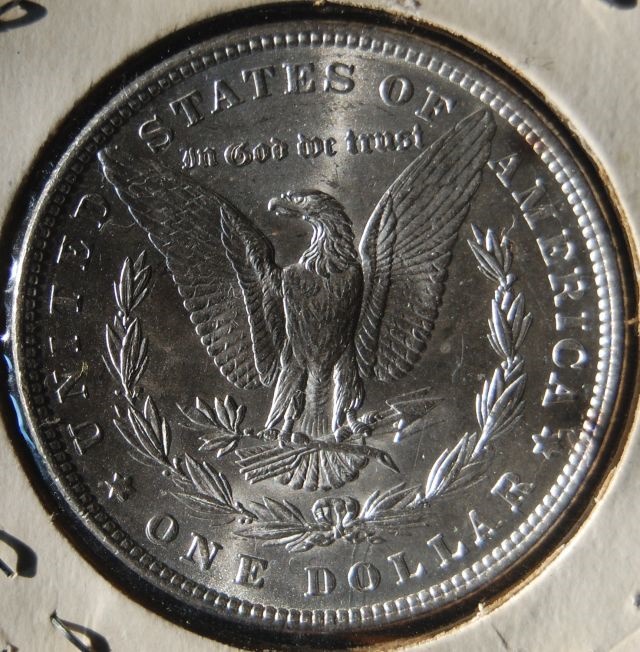 Morgan-Dollar-1882-For-Grading