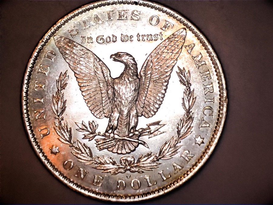 1883-O-Morgan--Grade-Help