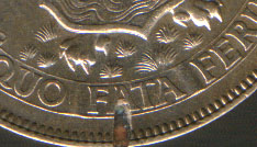 Need-Help-With-Bermuda-Crown