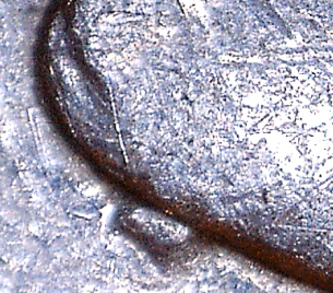 1881-Morgan-Dollar