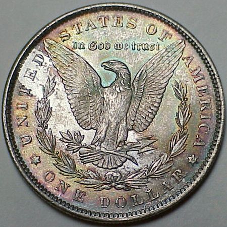 All-Members,-Post-Your-Most-Recent-US-Coin-Purchases!