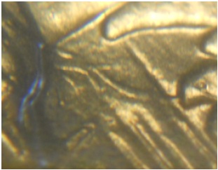 1975-Nickel-Dollar-Die-Clash-