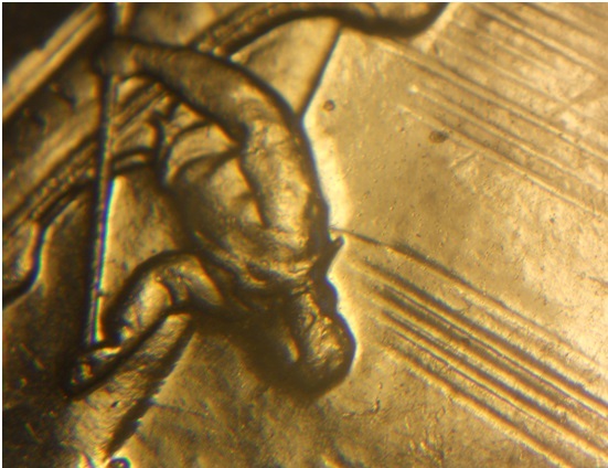 The-10-Awesome-Days-Of-Canadian-Silver-Dollar-Varieties