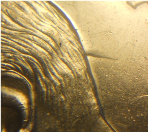 The-10-Awesome-Days-Of-Canadian-Silver-Dollar-Varieties