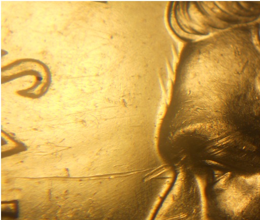 The-10-Awesome-Days-Of-Canadian-Silver-Dollar-Varieties