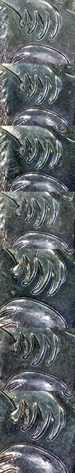 2009-5c-Claw-Cuds---Progression-Of-Die-Deterioration