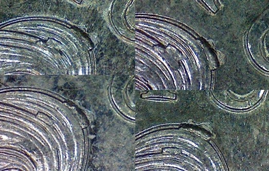 2001-Centenary-Of-Federation-20c-Errors