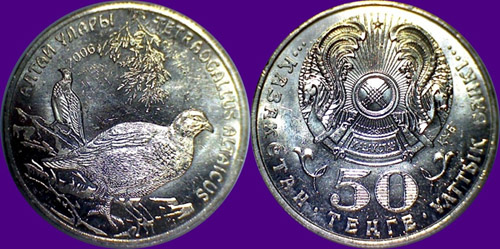 My-Latest-Themed-Acquisitions---Birds