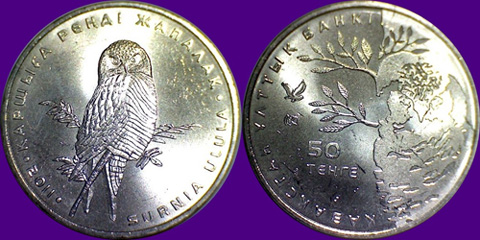 My-Latest-Themed-Acquisitions---Birds