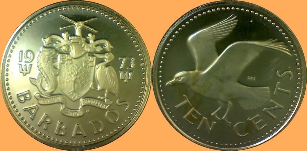 My-Latest-Themed-Acquisitions---Birds