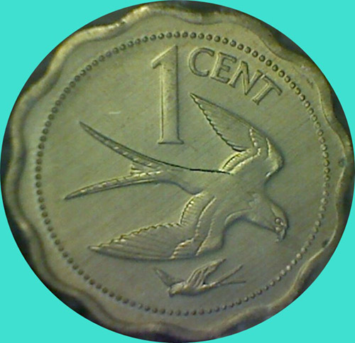 My-Latest-Themed-Acquisitions---Birds