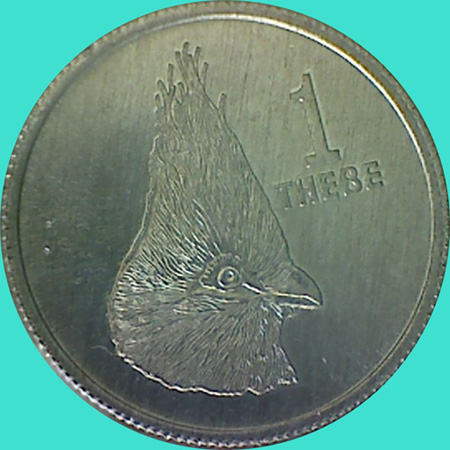 My-Latest-Themed-Acquisitions---Birds