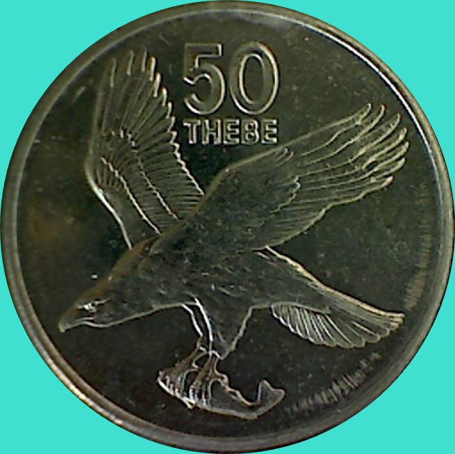 My-Latest-Themed-Acquisitions---Birds