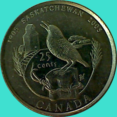 My-Latest-Themed-Acquisitions---Birds