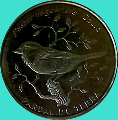 My-Latest-Themed-Acquisitions---Birds