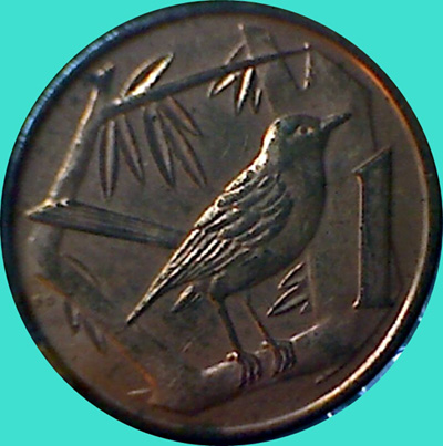 My-Latest-Themed-Acquisitions---Birds
