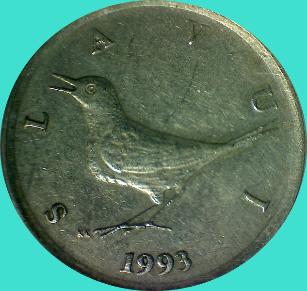 My-Latest-Themed-Acquisitions---Birds