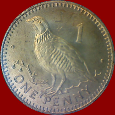My-Latest-Themed-Acquisitions---Birds