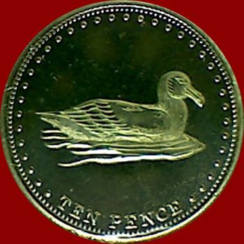 My-Latest-Themed-Acquisitions---Birds