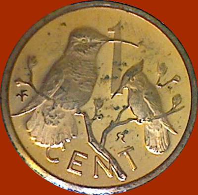 My-Latest-Themed-Acquisitions---Birds