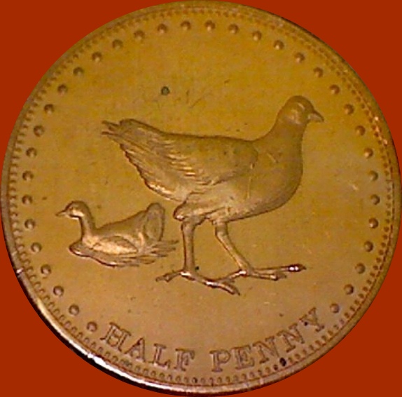 My-Latest-Themed-Acquisitions---Birds