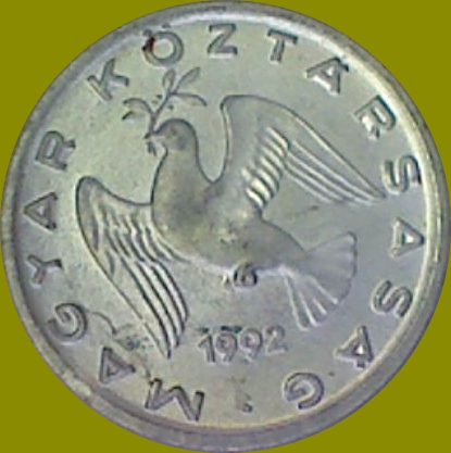 My-Latest-Themed-Acquisitions---Birds