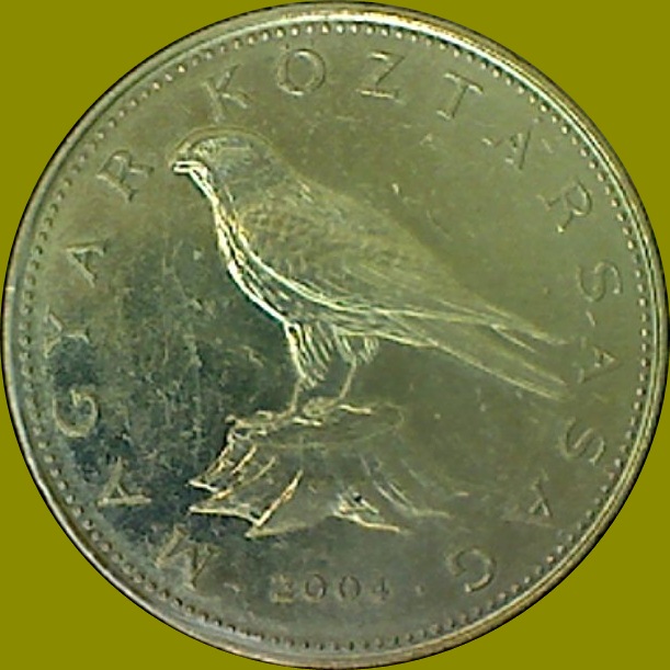 My-Latest-Themed-Acquisitions---Birds
