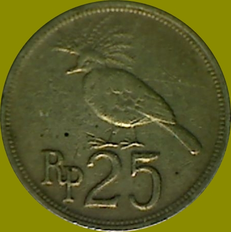 My-Latest-Themed-Acquisitions---Birds