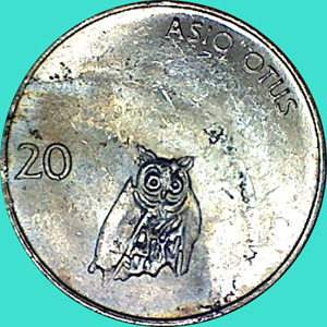 My-Latest-Themed-Acquisitions---Birds
