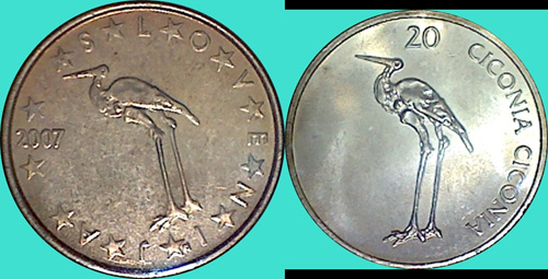 My-Latest-Themed-Acquisitions---Birds