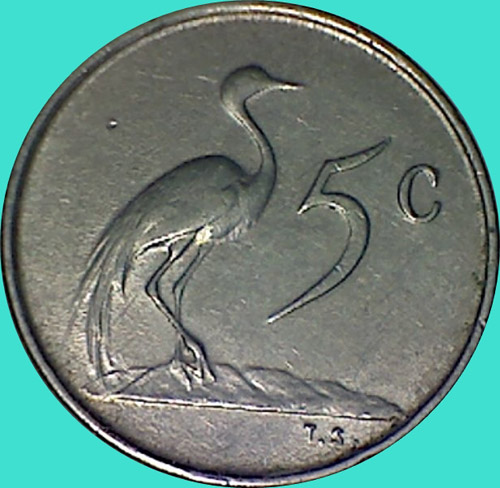 My-Latest-Themed-Acquisitions---Birds