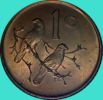My-Latest-Themed-Acquisitions---Birds