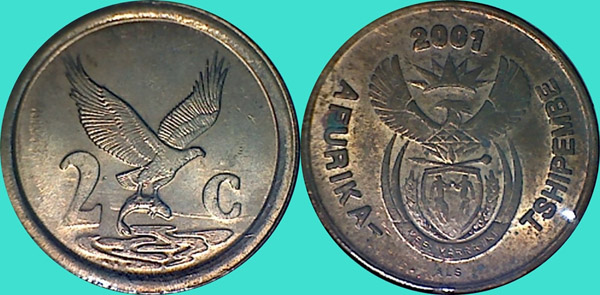 My-Latest-Themed-Acquisitions---Birds