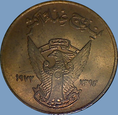 My-Latest-Themed-Acquisitions---Birds