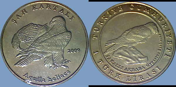 My-Latest-Themed-Acquisitions---Birds