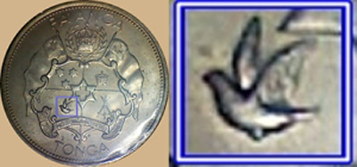 My-Latest-Themed-Acquisitions---Birds