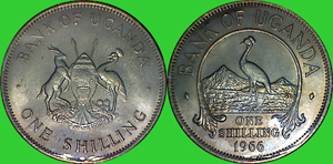 My-Latest-Themed-Acquisitions---Birds