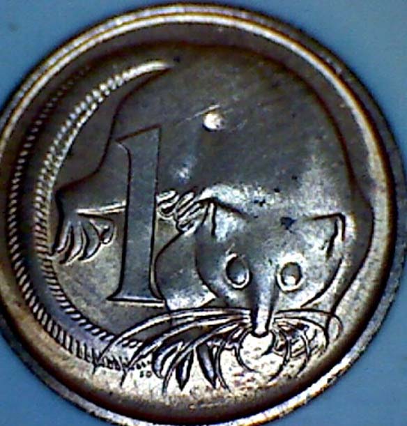 Animals-On-Circulating-Coins