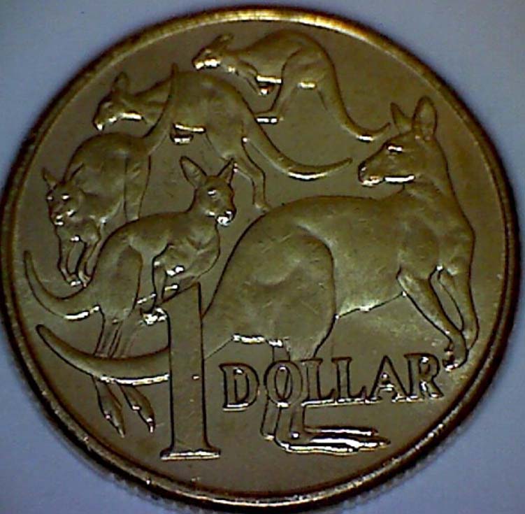 Animals-On-Circulating-Coins