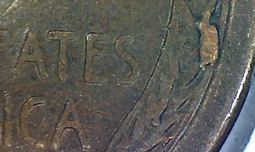 Images-Taken-With-My-Kaiser-Baas-Digital-USB-Microscope