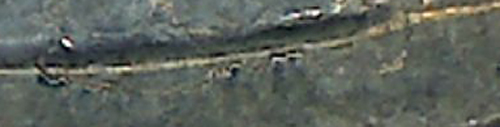 WWII-Coming-Home-Errors